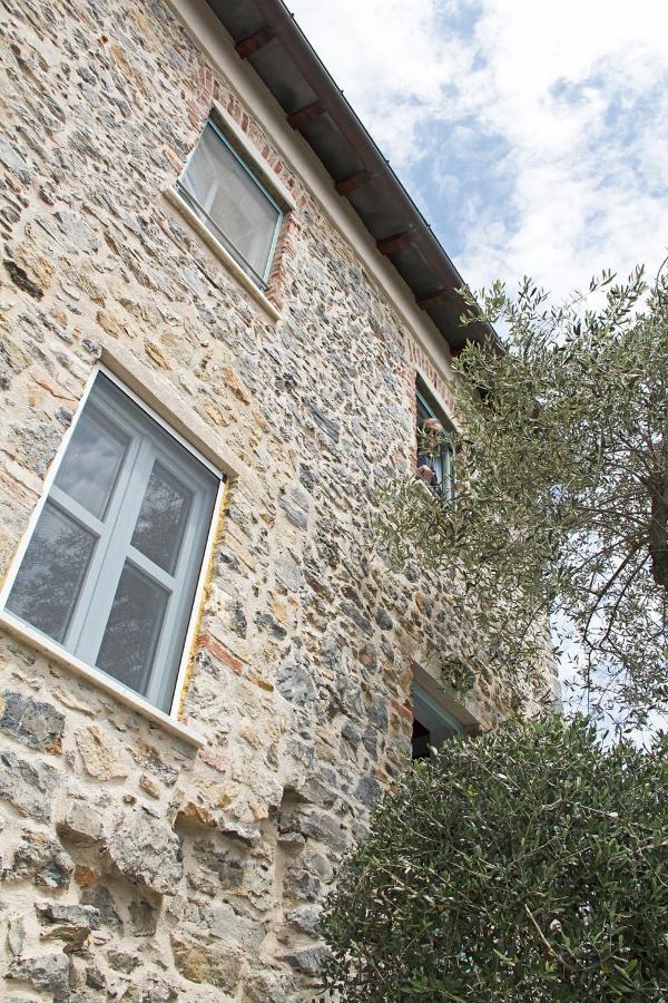 La Terrazza Con L'Ulivo - Guesthouse Con Terrazza E Vista Sul Golfo Dei Poeti La Spezia Exterior photo